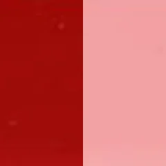 Pigment Red 101