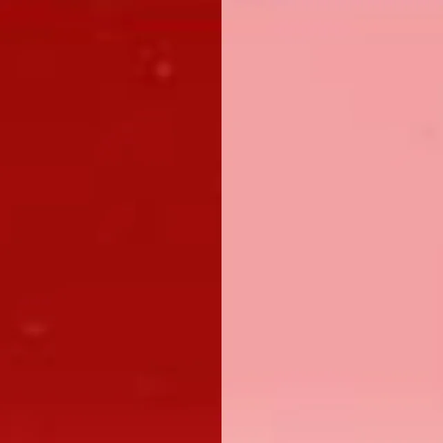 Pigment Red 101