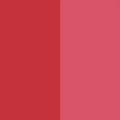 Pigment Red 170