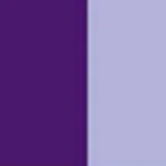 Pigment Violet 16