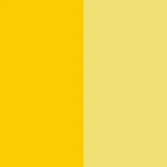 Pigment Yellow 13