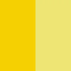 Pigment Yellow 14